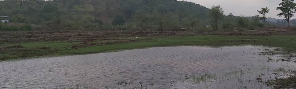 Screenshot 2025-11-24 203229